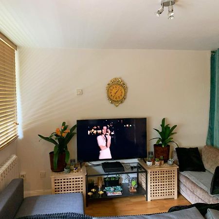 Garden Beautiful Cozy Flat , Recent Decorated. Lejlighed London Eksteriør billede