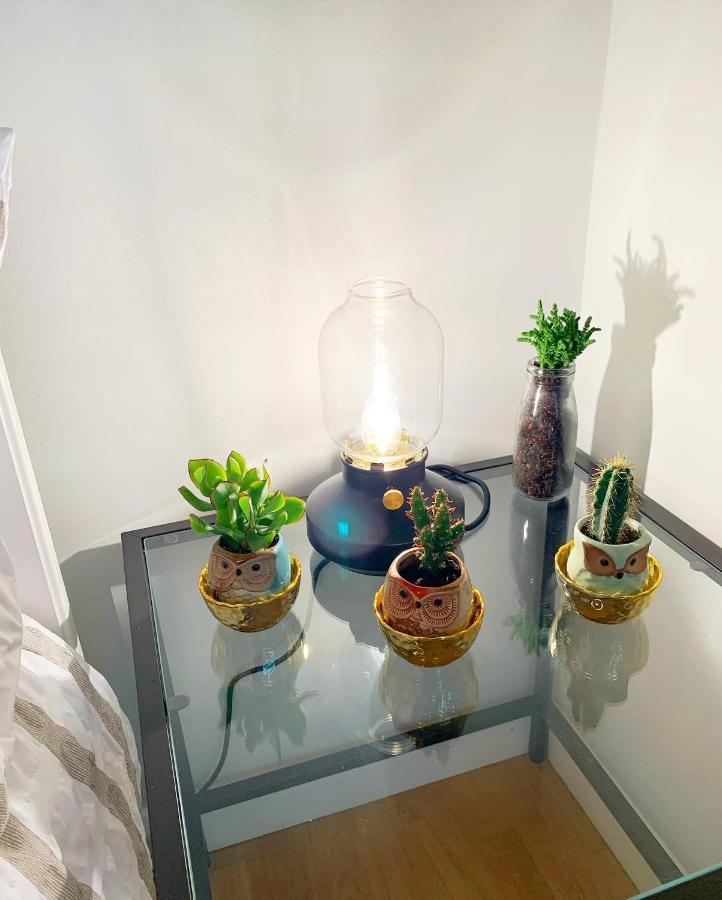 Garden Beautiful Cozy Flat , Recent Decorated. Lejlighed London Eksteriør billede